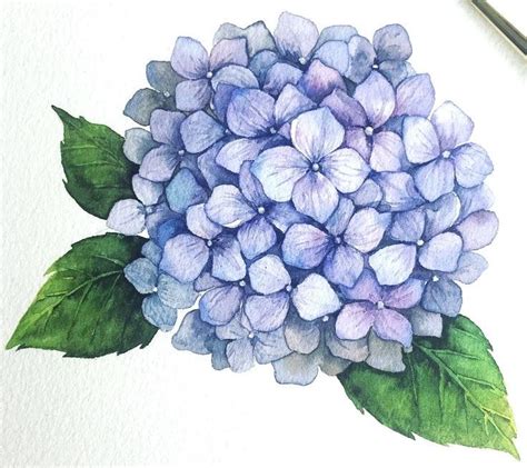 Images By Mine Akkoç On Tattoo Ideas In 2021 Hydrangea Painting