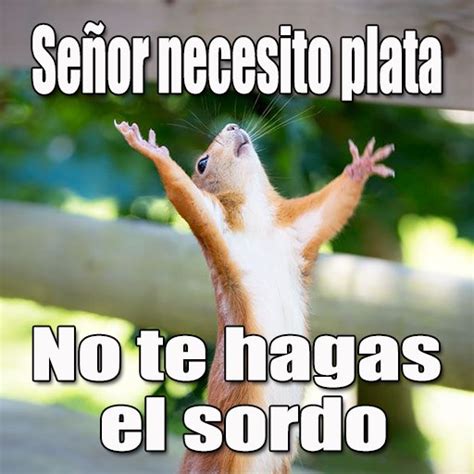 Los 10 mejores memes de enero 2022 para WhatsApp: sin plata, con gripe