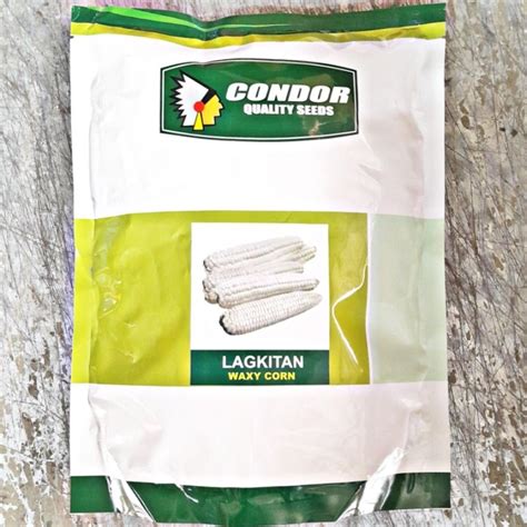 Lagkitan Corn Kilo White Waxy Corn By Condor Seeds Shopee Philippines