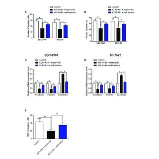 Klf As Overexpression Suppressed Gastric Cancer Cell Viability And