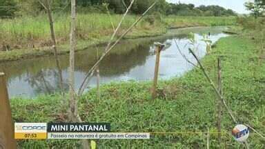 Bom Dia Cidade Campinas Piracicaba Saiba o que fazer no novo espaço