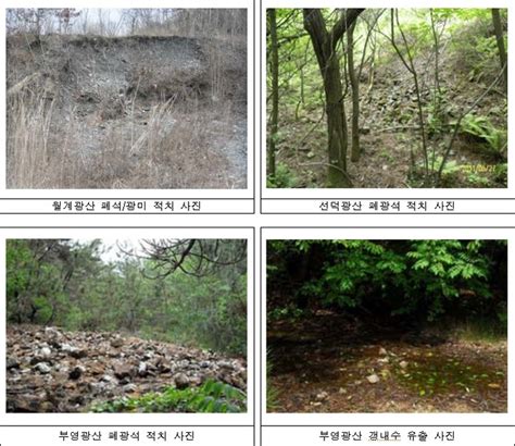 강원도 등 소재 폐금속광산 11곳 토양 중금속 오염