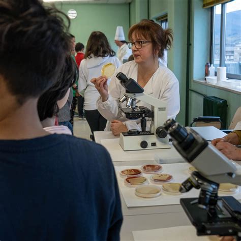 Actividades Del Campus De Ponferrada De La Ule Organizadas Con Motivo