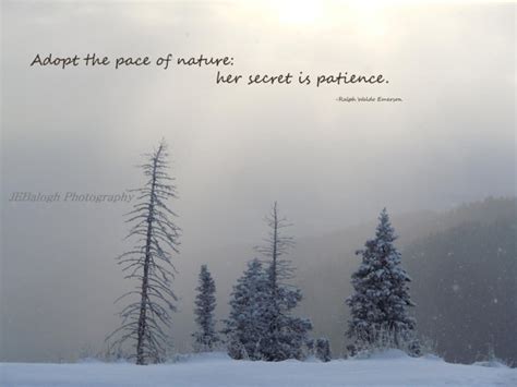 Winter Solstice Quotes Sayings. QuotesGram