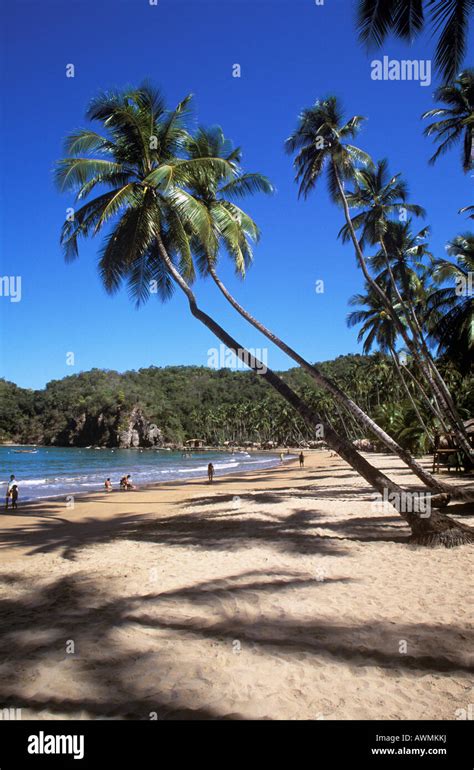 Playa Medina (Medina Playa), Sucre, Venezuela, Costa Caribe Fotografía ...