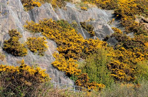 Whins And Cliff Near Whitehead © Albert Bridge Geograph Britain And