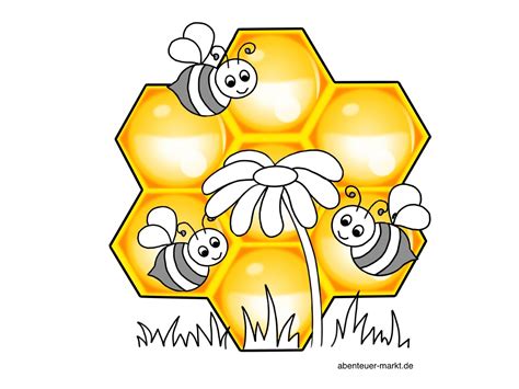 Mandalas Biene Waben Kinderwissen Bienen Schritt für Schritt