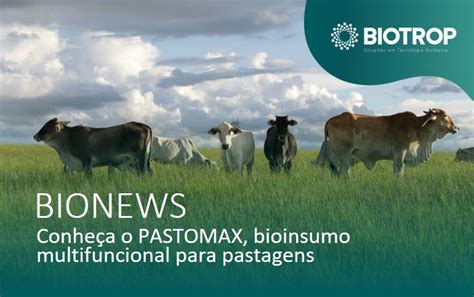 Conhe A O Pastomax Bioinsumo Multifuncional Para Pastagens Biotrop