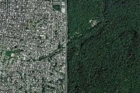 La foto virale che mostra il confine tra la città brasiliana di Manaus