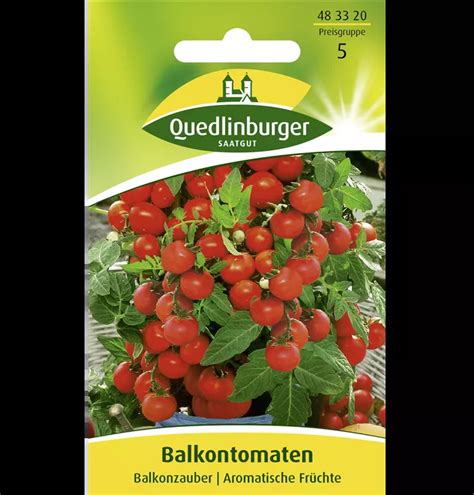 Tomatensamen Balkonzauber Solanum Lycopersicum Balkonzauber 1A