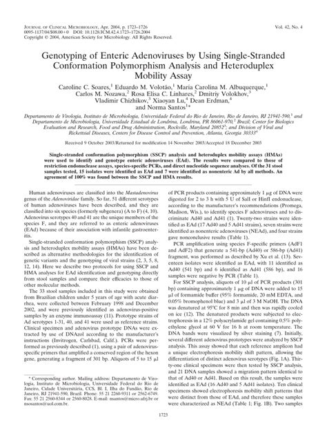 Pdf Genotyping Of Enteric Adenoviruses By Using Single Stranded