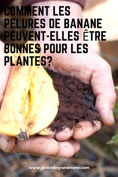 Comment les pelures de banane peuvent elles être bonnes pour les