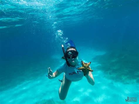 Snorkeling in Punta Cana: Things You Should Know Before Coming - Guide ...