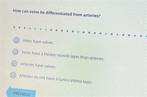 Solved How Can Veins Be Differentiated From Arteries Veins Chegg