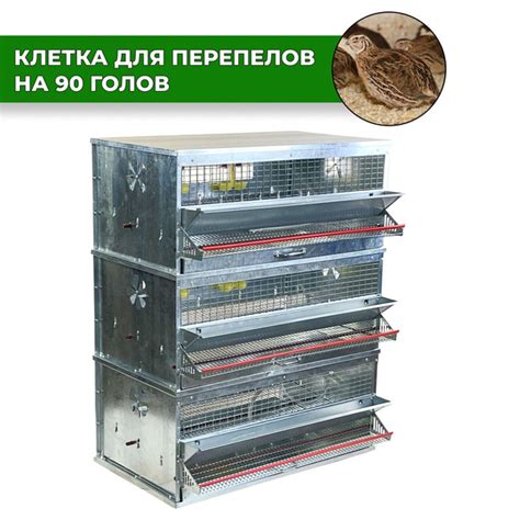 Клетка для перепелов на 90 голов, Сельский Дворик, клетка в полной ...