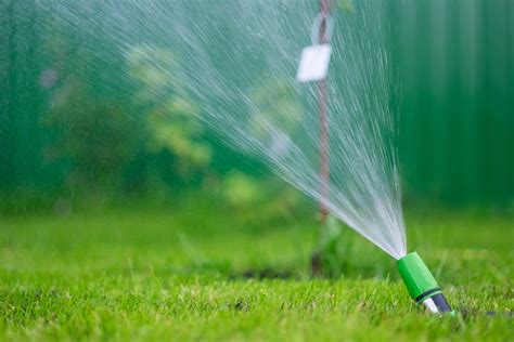 3 Reasons You Should Never Attempt A Diy Sprinkler Repair