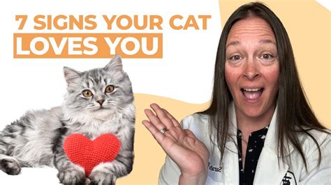 7 Signs Your Cat Loves You Youtube