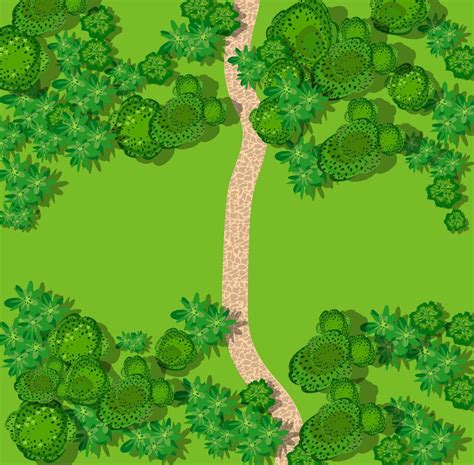 Forest Top View Drawing