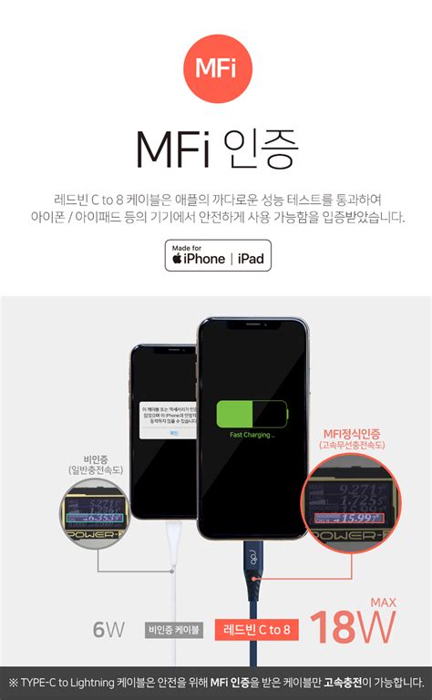 레드빈 C to 8 아이폰 MFi 고속충전 케이블 BB8N