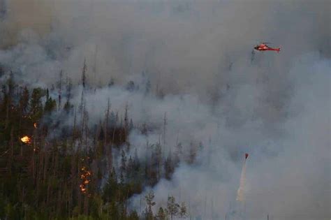 Arapaho National Forest Still Recovering One Year After Williams Fork Fire