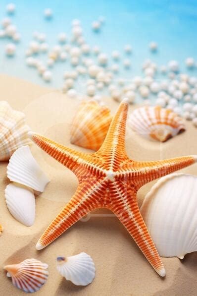 Beach Scene with Starfish and Seashells stock photo | Creative Fabrica