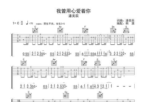 我曾用心爱着你吉他谱韩凛c调弹唱77翻唱版 吉他世界