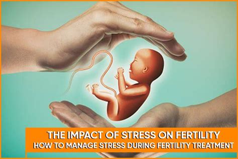 The Impact Of Stress On Fertility How To Manage Stress During