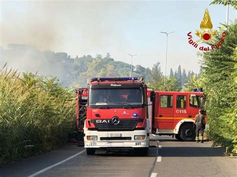 Video Vasto Incendio Di Vegetazione Nella Zona Nord Di Roma Il Faro