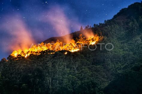 Kebakaran Hutan Lereng Gunung Sipiso Piso Antara Sumbar