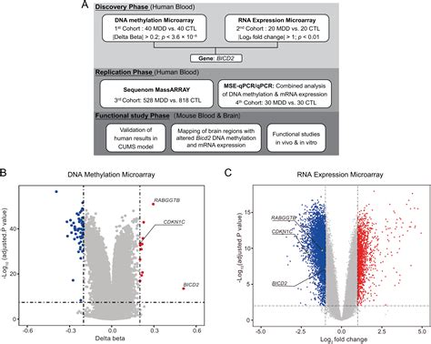 Elevated BICD2 DNA Methylation In Blood Of Major Depressive Disorder