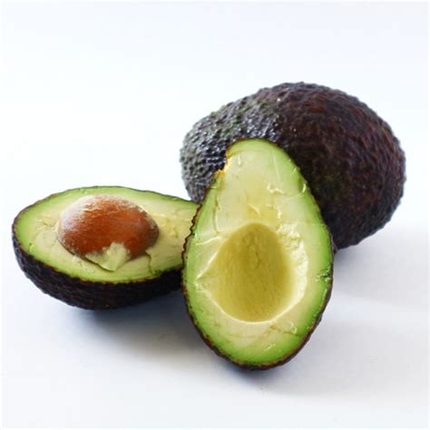 ต้นอะโวคาโด พันธุ์แฮส Avocado Hass พันธุ์ยอดนิยม จัดส่งพร้อมถุง 6 นิ้ว ลำต้นสูง 50 60 ซม