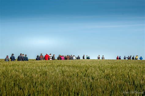 Stirlings To Coast Farmers