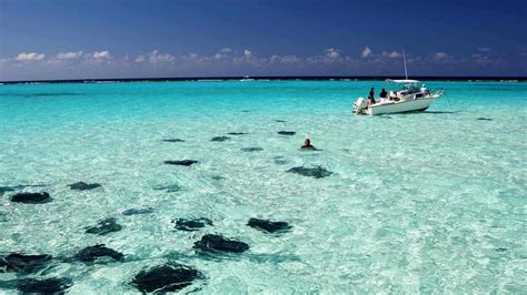 Stingray-City-Experience | Beach Travel Destinations