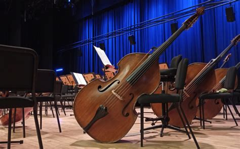 Whats The Difference Between A Cello And Double Bass