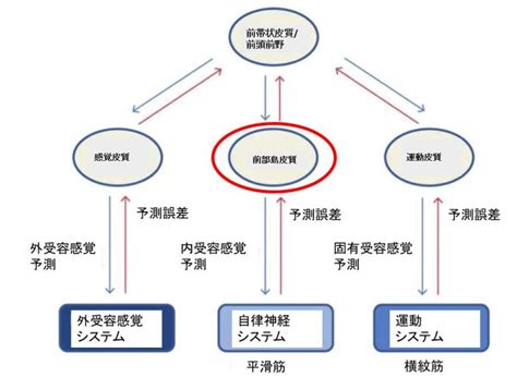 運動主体感と自己主体感のメカニズム：予測的符号化モデルから