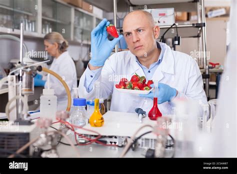 Scientist Checking Fruits And Vegetables For Harmful Elements