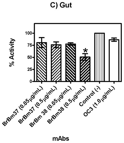 IJMS | Special Issue : Advances in Molecular Immunology