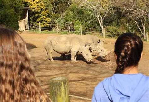 Hamilton Zoo • Grabone Nz