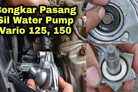 Tips Mengganti Sil Radiator Vario Dengan Mudah Towing