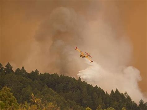 Incendios En Tenerife España 3 000 Personas Evacuadas Y Más De 3 500