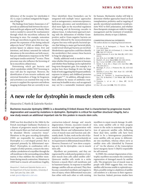 Pdf A New Role For Dystrophin In Muscle Stem Cells