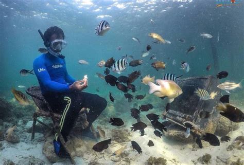 Deretan Spot Diving Terbaik Di Batam Surga Bawah Lautnya Bikin Betah