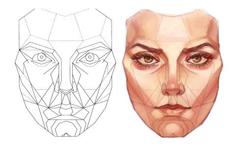 Marquardt/Golden Ratio face by unknown : r/drawing