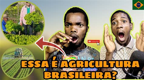 Gringos Reagem A Agricultura Brasileira Youtube