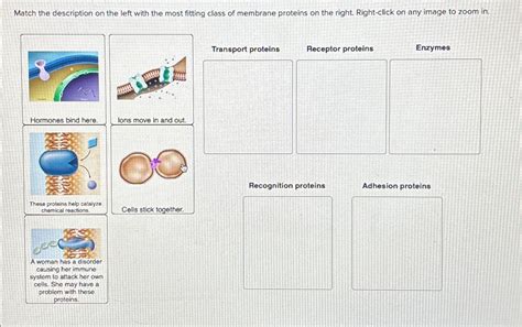 Solved Match The Description On The Left With The Most Chegg