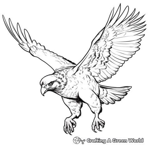 Falcon Coloring Pages Free Printable