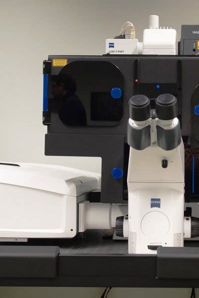 Vetmeduni Zeiss Lsm 880 Confocal Laser Scanning Microscope