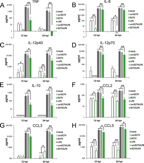 ECTV Infection Alters Cytokine And Chemokine Production By GM BM