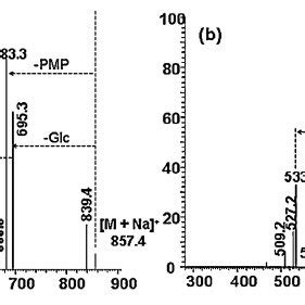 Positive Esi Ms Spectra Of The M Na Of Pmp Labeled A