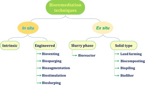 Bioremediation Processes Are Mainly Classified Into Two Categories In